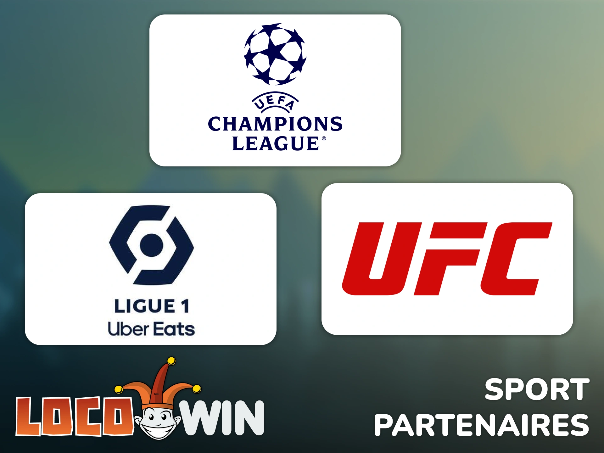 Consultez les sports officiels et les partenaires de la marque Locowin.