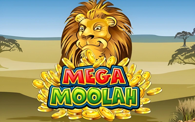 Explorez la savane avec les machines à sous Mega Moolah du casino Locowin.