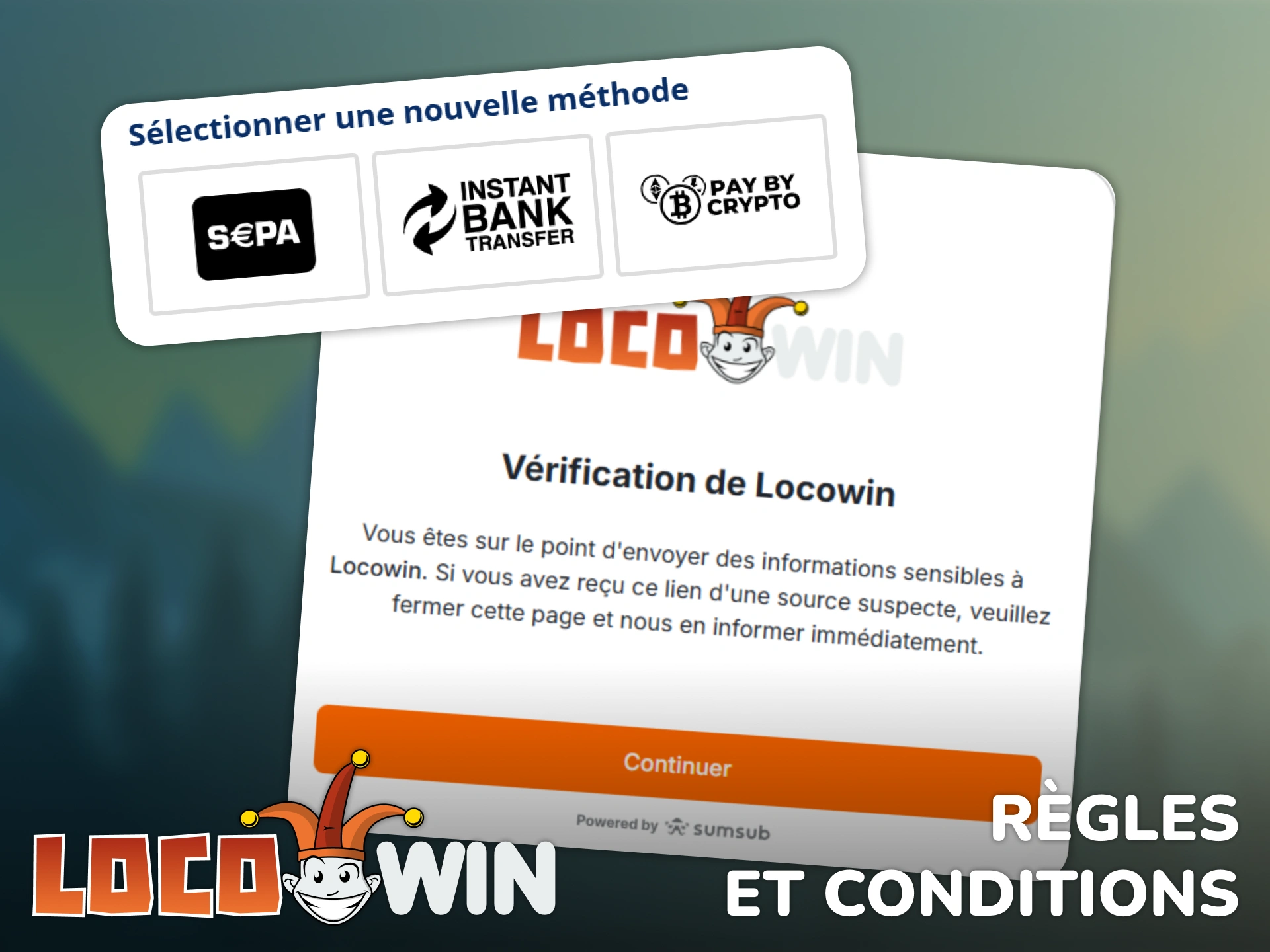 Lisez les règles et conditions pour chaque retrait effectué chez Locowin.